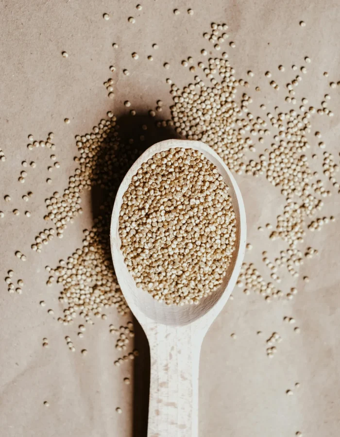 Quinoa blanc
